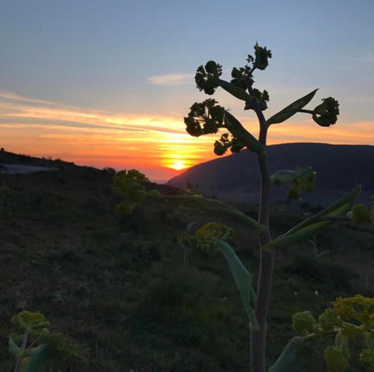 In Sicilia Da Ciro Bed & Breakfast Vita Eksteriør bilde