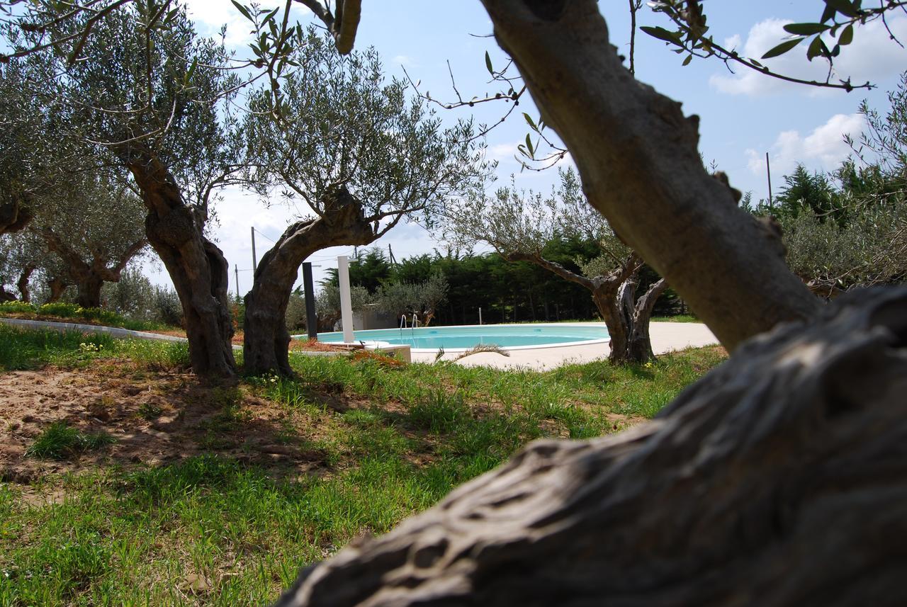 In Sicilia Da Ciro Bed & Breakfast Vita Eksteriør bilde